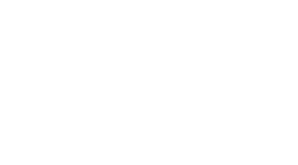 The Blue Guitars from the Archtop Foundation