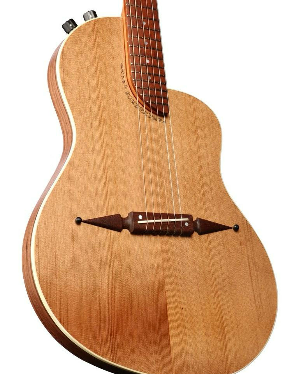 1999 Rick Turner Renaissance RS-6 instrument photograph